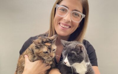 Who is Love City Vet?