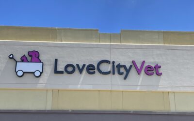 Opening a Start Up Veterinary Hospital